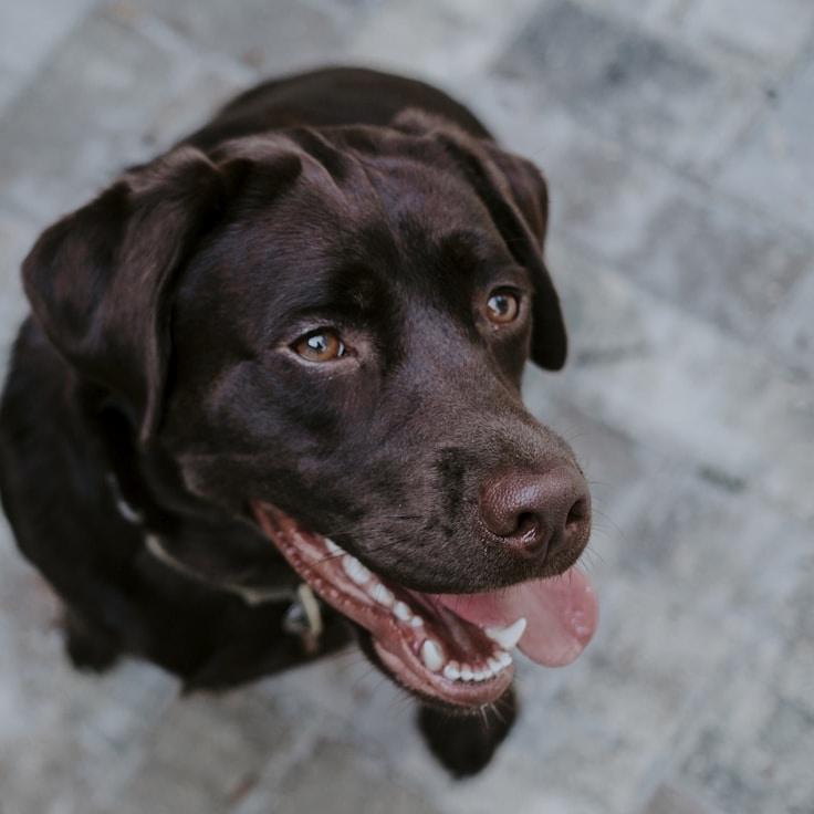 Portrait of Milan Ortega, group coordinator and fusion cooking expert